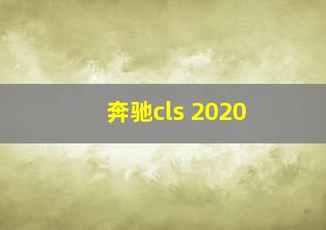 奔驰cls 2020